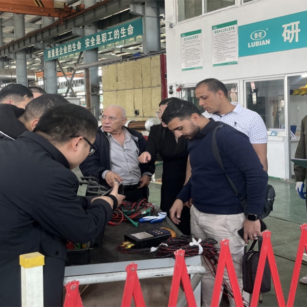 鲁变电工股份有限公司